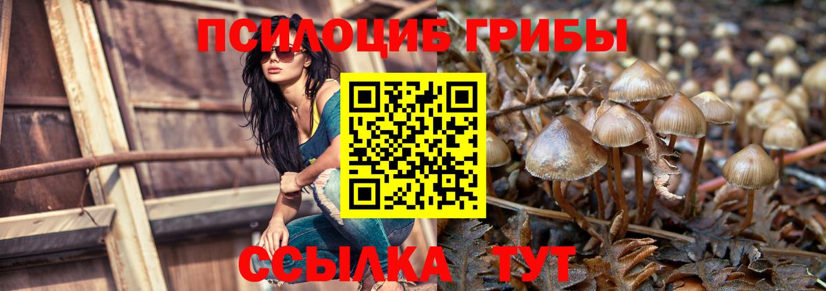 Каменск-Уральский  Галлюциногенные грибы прущие грибы  Псилоцибиновые грибы MAGIC MUSHROOMS  Вход с VPN 